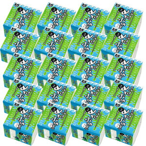 kĈ߂Ԕ[ 20 i12pbNj ̂ܖ [ ߂ ͂̂  [ т̂ ͂ H [ kC kCY  ȂƂ Y[