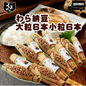 y [ 嗱6{ 6{ Zbgz ܔ[ [ lߍ킹 ȂƂ ibgE  m[ kCY [  т̂  kC  Mtg [Mtg 嗱 