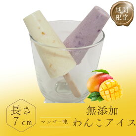 ＼18日はお買い得！15％OFF+ポイント4倍／【月間優良ショップ受賞】犬用アイス 無添加 国産 犬 おやつ WANKO ICE パティシエ監修 ひんやり 冷凍 ブルーベリー マンゴー 夏 ギフト
