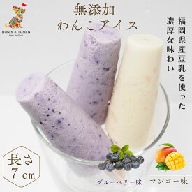 ＼24時間限定！！ポイント2倍！！／【月間優良ショップ受賞】犬用アイスクリーム3本セット　BUN'S KITCHEN 　シニア犬 パピー 無添加　犬用　WANKO　ICE　ブルーベリー