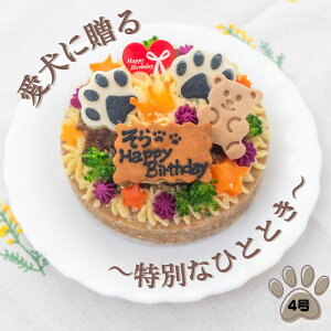 _6͂Iő2000~OFF{P2{m^yԗDǃVbv܁zpo[Xf[P[L 4 ͂^Cv BUNfS@KITCHEN pP[L @VjA ps[ aP[L