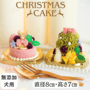 _6͂Iő2000~OFF{P2{m^yԗDǃVbv܁zyBUNS'KITCHEN@Yp@Xmas@CAKEZbga8cm p P[L a o[Xf[ yⓀz