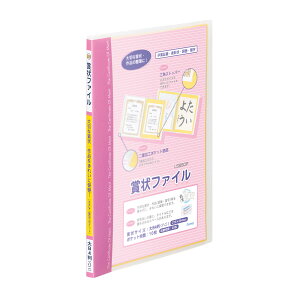 レイメイ藤井 賞状ファイル 大B4/ハニサイズ LSB80
