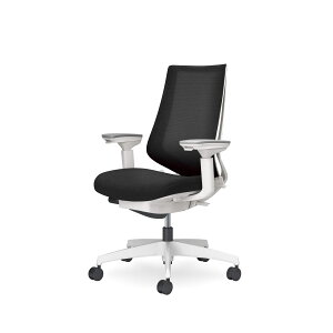 �R�N���@�I�t�B�X�`�F�A�@Duora2���f���I��2���@���b�V���^�C�v�@�n�C�o�b�N�@���I�@�z���C�g�����r�@�����o�[�T�|�[�g�Ȃ��@C08-W230M_1