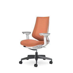 �R�N���@�I�t�B�X�`�F�A�@Duora2���f���I��2���@���b�V���^�C�v�@�n�C�o�b�N�@���I�@�u���b�N�����r�@�����o�[�T�|�[�g�Ȃ��@C08-B230M_1