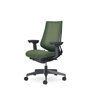 �R�N���@�I�t�B�X�`�F�A�@Duora2���f���I��2���@���b�V���^�C�v�@�n�C�o�b�N�@���I�@�u���b�N�����r�@�����o�[�T�|�[�g�Ȃ��@C08-B230M_1