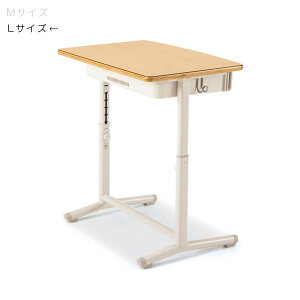 RN@kp@@X^_[h^CvXbgȂ@W650×D450@v[i`F@LTCY@JISKiΉ@ESD-CAS2RPL-EZMG21