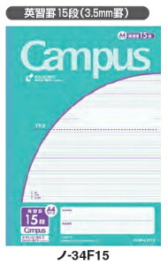 RN@LpXm[gprʁ@pKr15i(3.5mmr)@A4@30@m-34F15