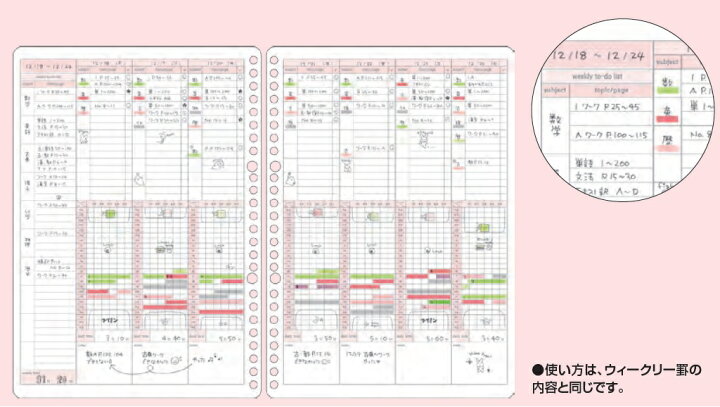 57円 驚きの価格 コクヨ キャンパス スタディプランナー ウィークリー罫ガーリー ノ-Y836GW 57円 驚きの価格 コクヨ キャンパス スタディプランナー ウィークリー罫ガーリー ノ-Y836GW