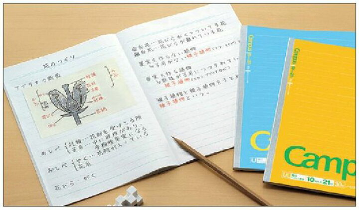 楽天市場 コクヨ キャンパスノート 幅広 ドット入り罫線 Ul罫 5冊セット ノ D3ultn ブング ステーション