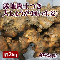 高知県産土付き大しょうが2キロ【生姜・ショウガ】