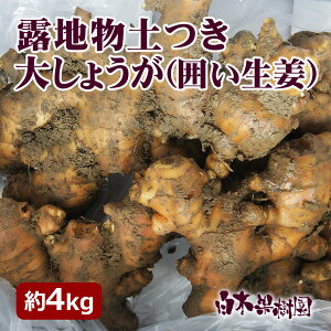 ���m���Y�y�t���債�傤��4�L���y���I�E�V���E�K�z