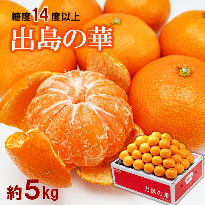 楽天市場】出島の華2Sサイズ 約5kg 最低糖度14度保証 【数量限定 