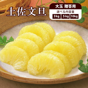 bs\b yU  p@3kgA5kgA10kg@3LTCY@Ԃ񂽂 u^ k ݂ t[c ʕ mY Yi Y { G 蕨 MtgytkzyGizykށzy