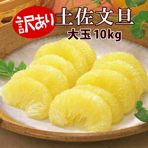 �b�\��b �y�����U ��� �󂠂�@10kg�@3L�`2L�T�C�Y�@���S ���E�V�~ ����̖�A���i �ƒ�p �y�Ԃ񂽂�z�y�u���^���z�y���m���U�z�yB���i�z�y���������z