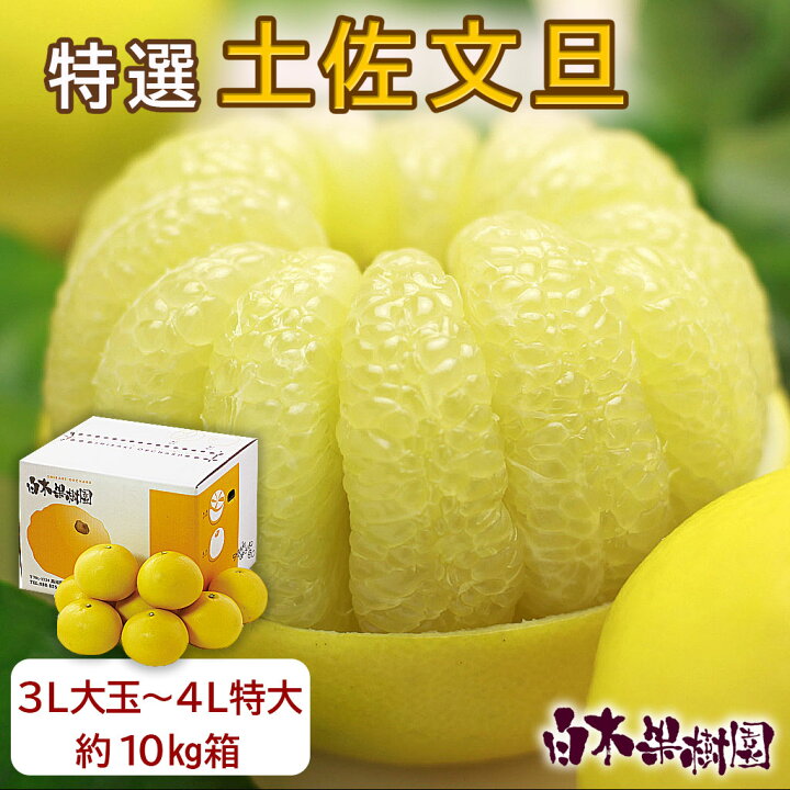 楽天市場】＼LINE新規登録で200円OFFクーポン／【生産者直送】白木果樹 