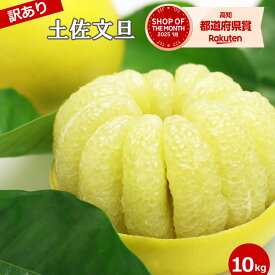 ＜2027年先行予約＞ 高知産10kg 訳あり土佐文旦　 3L〜Lサイズいずれか　セール　文旦 ぶんたん 高知 ブンタン 分担【送料無料】【大玉 中玉 小玉】いずれか