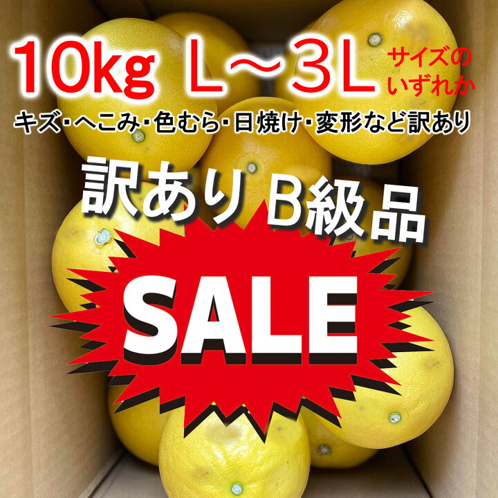 楽天市場】＜2027年先行予約＞ 高知産10kg 訳あり土佐文旦 3L〜Lサイズ 