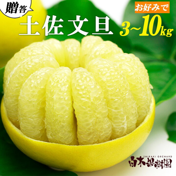 楽天市場】【生産農家直送】白木果樹園産 土佐文旦 贈答用 約10kg3L 