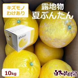 【訳あり】【セール】夏ぶんたん約10キロ箱家庭用【宇和ゴールド】【河内晩柑】大中小玉込み約20〜25個入