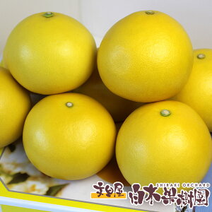 󂠂@yUinEXUj@3kg@LTCY@7ʓyΕzy~̃Mtgz