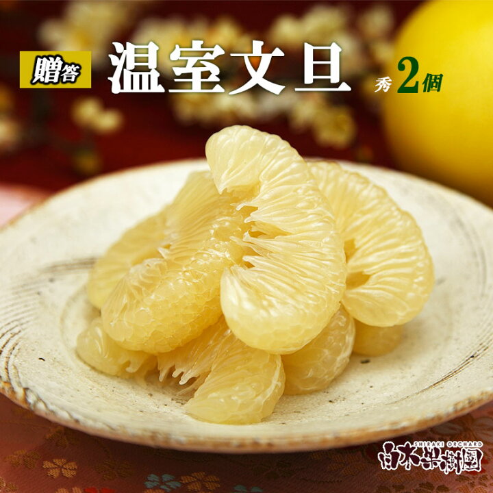楽天市場】温室土佐文旦（ハウス文旦） ご贈答用 特大2個入り 【送料込 