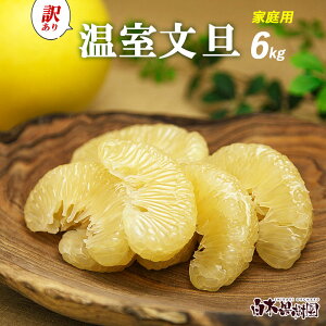 yUinEXUjƒp@6kgʁ`10`12y󂠂zyzymYz