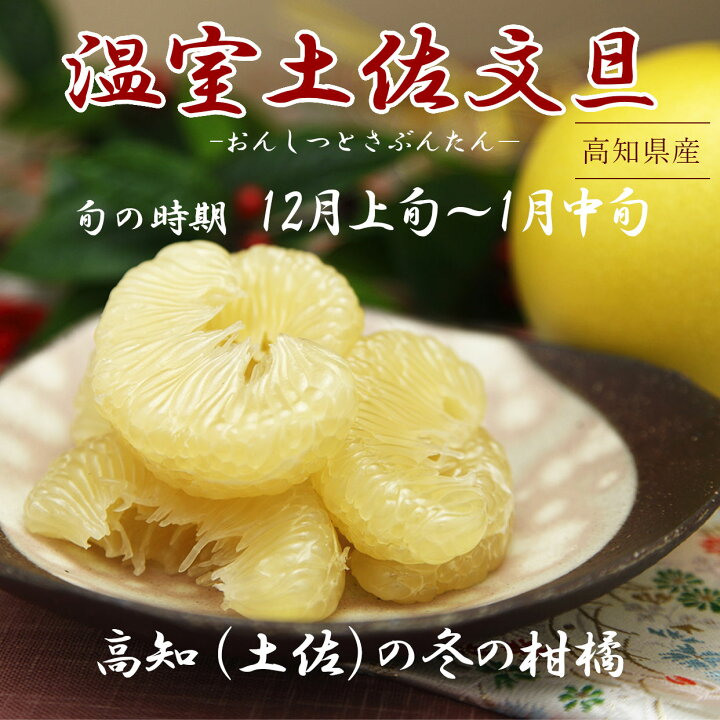 楽天市場】温室土佐文旦（ハウス文旦） ご贈答用 特大2個入り 【送料込 