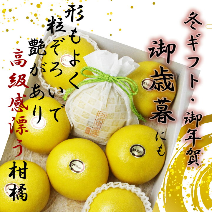 楽天市場】温室土佐文旦（ハウス文旦） ご贈答用 特大2個入り 【送料込 