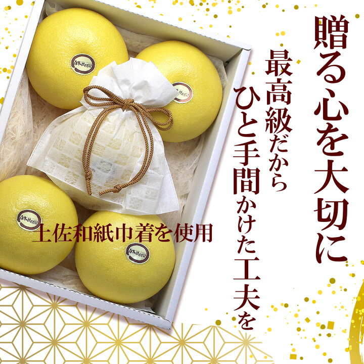 楽天市場】温室土佐文旦（ハウス文旦） ご贈答用 特大2個入り 【送料込 