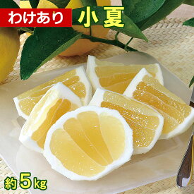 ＼最終セール20％OFF／【セール品】【わけあり】土佐小夏　約5kg家庭用【ご自宅用 高知 特産 土産 フルーツ 日向夏 ニューサマーオレンジ】【のし・ギフト包装対象外】【返品交換不可商品】