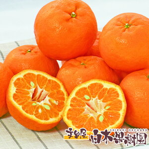 bs\bۂ񂩂񐴗e썑̖|J5LLTCYymYzy~̊k@N@~Mtgz