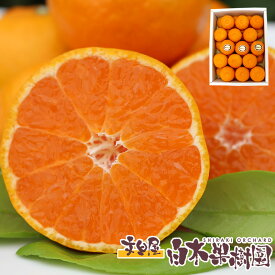 楽天市場 お盆 お供え フルーツ 果物 食品 の通販