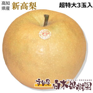 ymYzV11200g 嗜3 3.6kgyV@mzyH̖ozyH̉ʕzyyMtg_zyyMtg_̂zyyMtg_bŹz