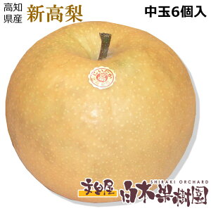 ymYzV1650g 6 4kg@yV@mzyH̖ozyH̉ʕzyyMtg_zyyMtg_̂zyyMtg_bŹz
