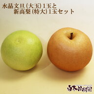 新高梨約1kg玉と水晶文旦約800g1玉セット【セット商品】【ギフトセット】【秋の味覚】【高知県産】【ギフ…