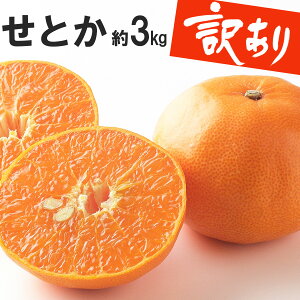 Ƃ@3kg@ 4LTCY 8ʂLTCY14ʁymYz