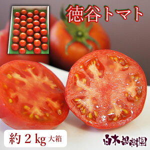 bs\bmY  Jg}gyƂɃg}gz 2kg@t[cg}g