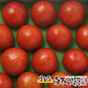 フルーツトマト ギフト トマトの人気商品 通販 価格比較 価格 Com