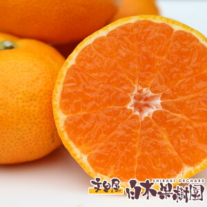 yΕzōɑIB݂ 3.5L 35`45 ϔ葡pymYz