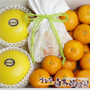 yUinEXUjƉB݂lߍ킹ZbgyΕzy~Mtgzy~̑蕨zyyMt_zyyMt_̂zyyMt_bŹz