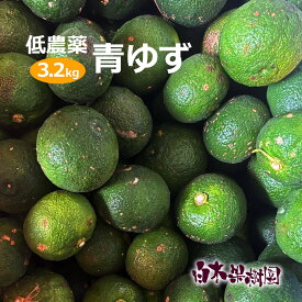【減農薬】高知県産青ゆず　約3.2キロ　青柚子　国産　わけあり　キズモノ【8月下旬発送開始】【数量限定】【柚子胡椒】