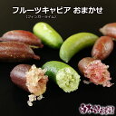 ＼30％OFFセール／　国産フルーツキャビア（フィンガーライム）おまかせ約100g、200g、300g、400g、500g【白木果樹園産】【キャビアライム】【宅急便コンパクト送料でお得】