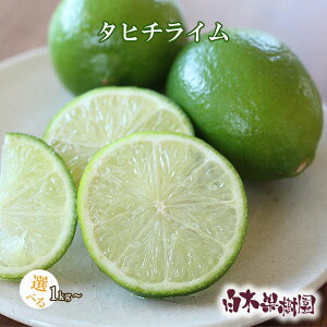 【国産】【希少】国産ライム1kg、2kg、3kg【ワックス防腐剤不使用】【数量限定】【白木果樹園産】