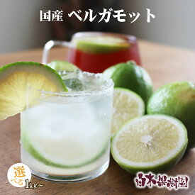 【予約】国産 ベルガモット 1kg、3kg、5kg　白木果樹園産