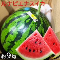 楽天市場】スイカ ルナピエナ 高知県産の通販
