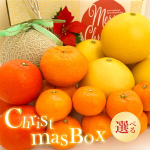 yNX}XzNX}Xt[cBOX @k ݂ yU  ʕ yԌzypz