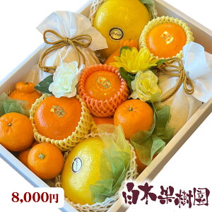 yt[cMtgz؉ʎ{̃I[_[Cht[cZbg@lߍ킹@yFZbgzyz