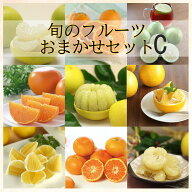 訳あり 旬の果物おまかせセット（家庭用 約5kg／フルーツ詰め合わせ）【Cセット】 ぶんたん 果物 文旦 柑…