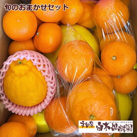 【送料無料】旬のフルーツ食べ比べおまかせセット【Bセット】 ぶんたん　果物　詰め合わせ